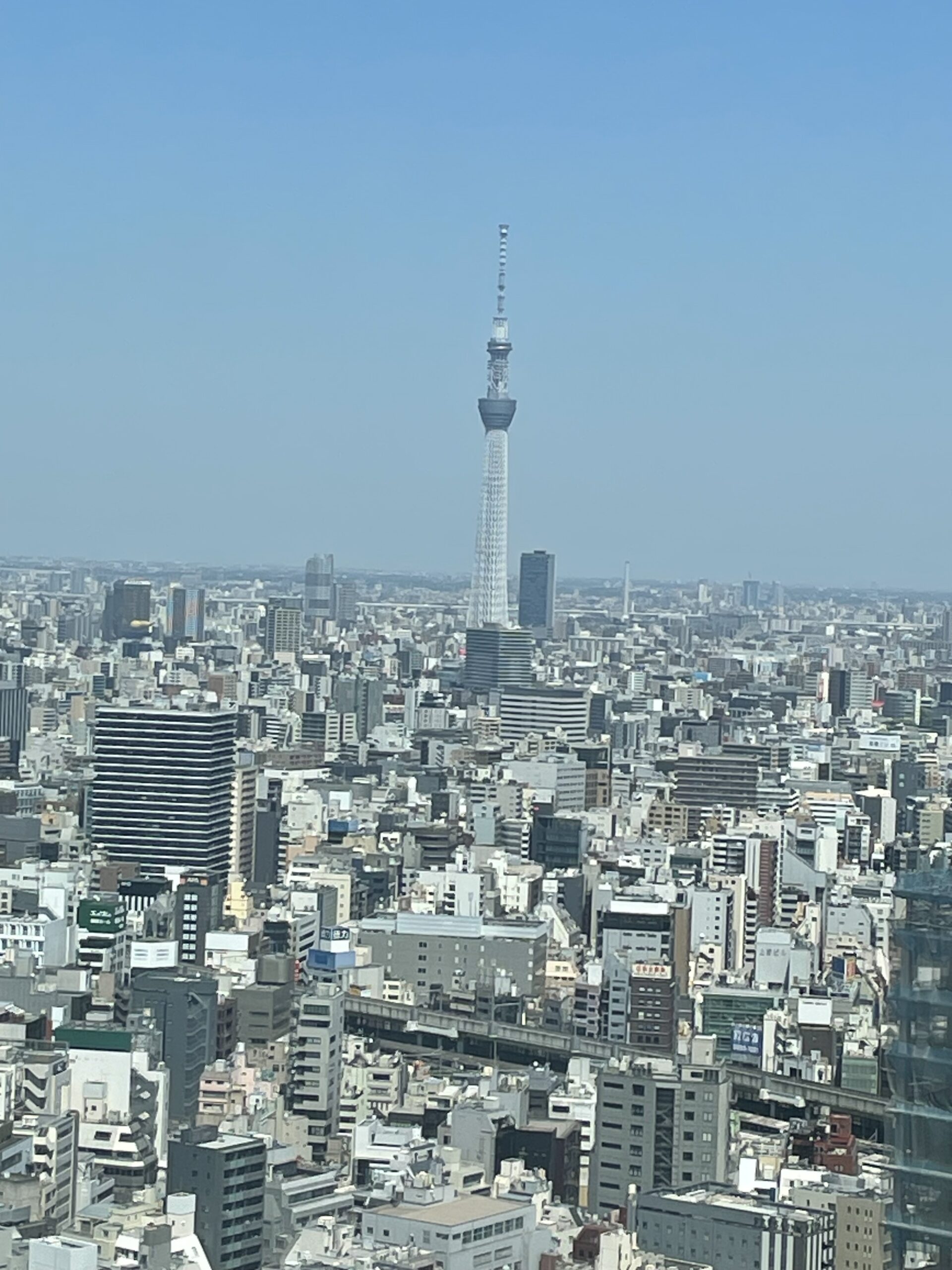 日帰り東京。