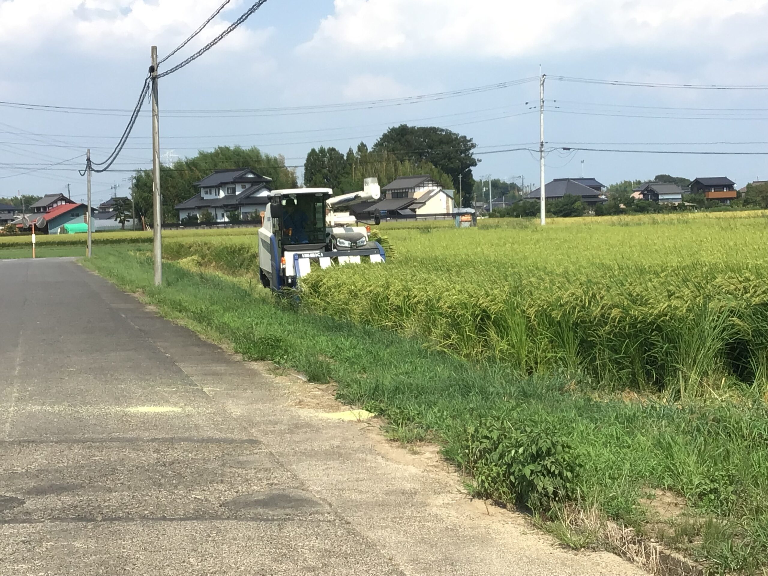 稲刈りに遭遇